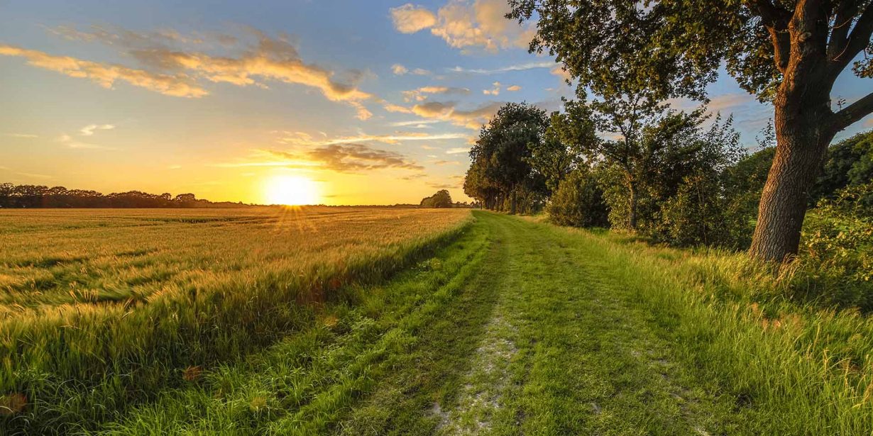 Deutsche Bank cultive la durabilité avec Farming for Climate
