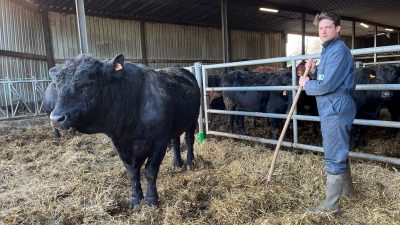 La ferme de Heks (Heks – Limbourg)