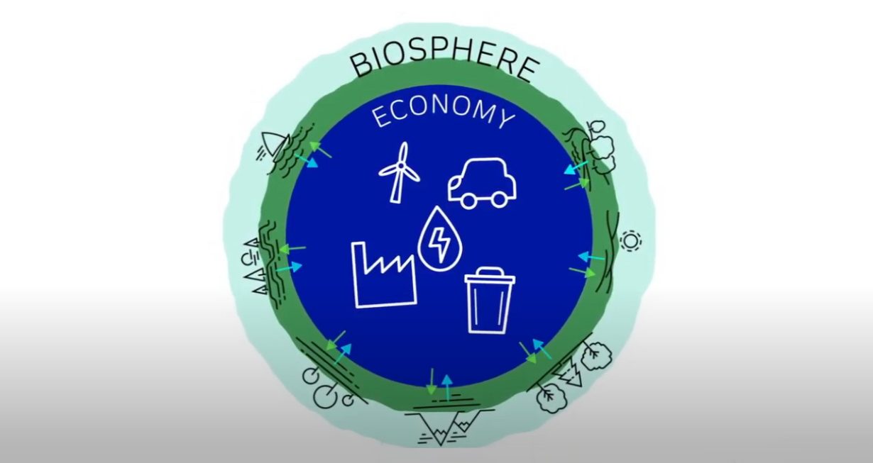 L'économie et la biodiversité 