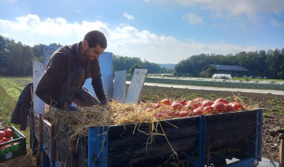 Ferme de la distillerie - Jeremy Vermeiren