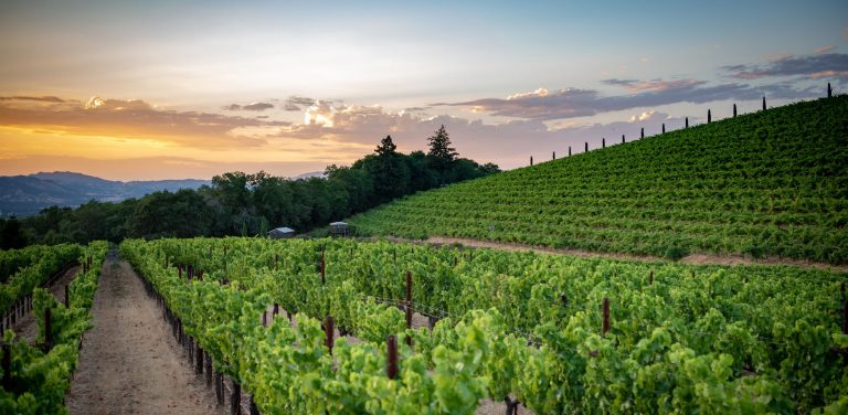 “Ik hou ervan als beleggers iets haten”