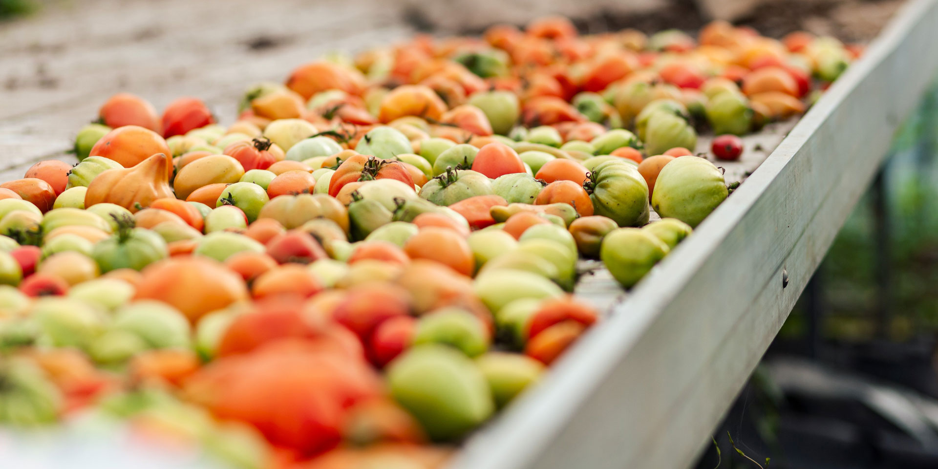 Farming for Climate : Cliënten op bezoek bij een landbouwbedrijf