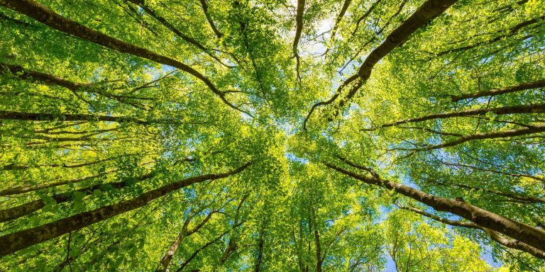 ‘How We Live’: een nieuw milieu-impactprogramma ‘How We Live’: een nieuw milieu-impactprogramma