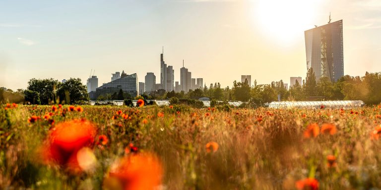 De ECB bevestigt de start van de opwaartse rentecyclus in juli