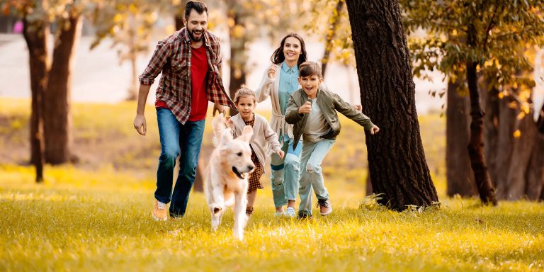 11 onmisbare tips voor uw vermogensplanning 11 onmisbare tips voor uw vermogensplanning